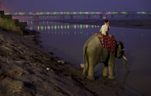 Sonepur, extraña feria en la India