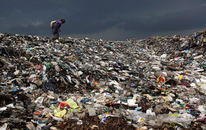 Día Mundial del Medio Ambiente