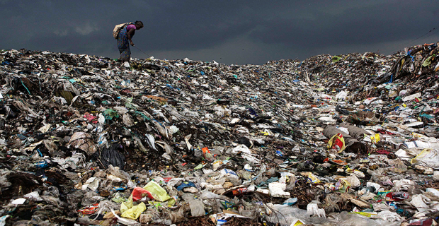 Día Mundial del Medio Ambiente